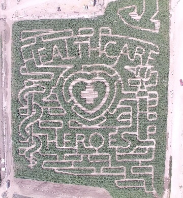 Corn maze view 3