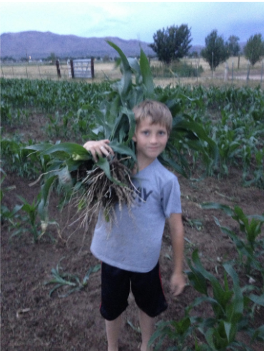 Farm history image 1