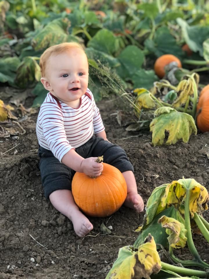 Fall festival view 1