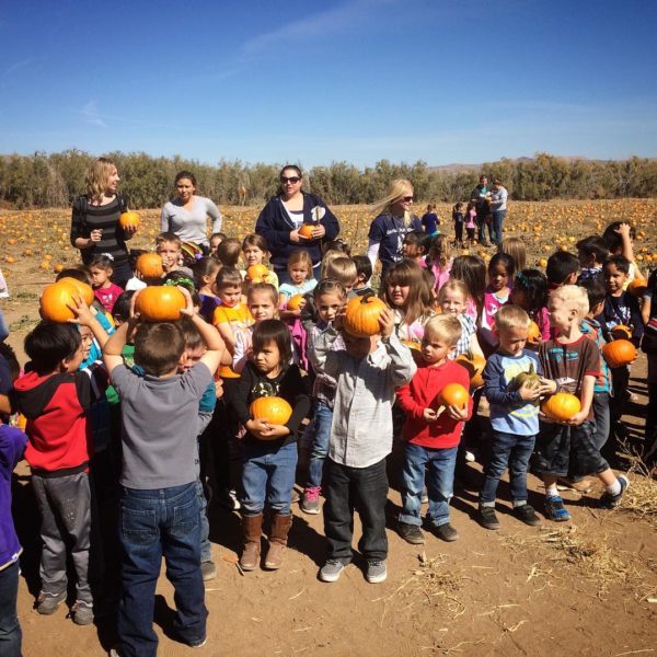 Students enjoying a farm field trip