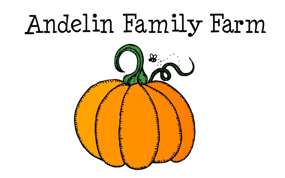 pumpkin patch logo (1)